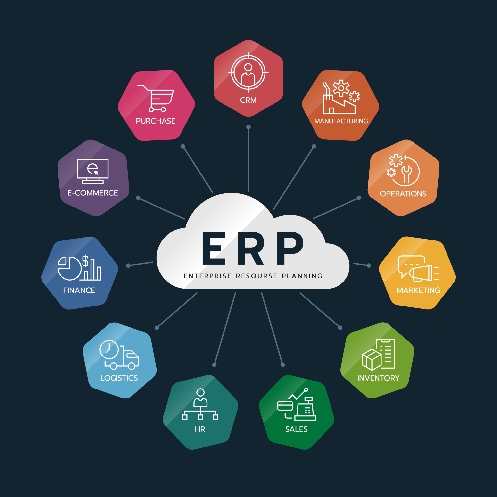 Software Solutions – Empower Your Business with Proven ERP Solutions